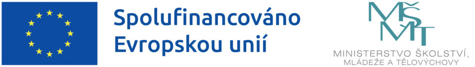 eu msmt logo