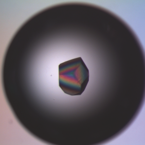 KIPL_1